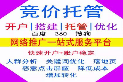 SEM投放策略优化案例分析